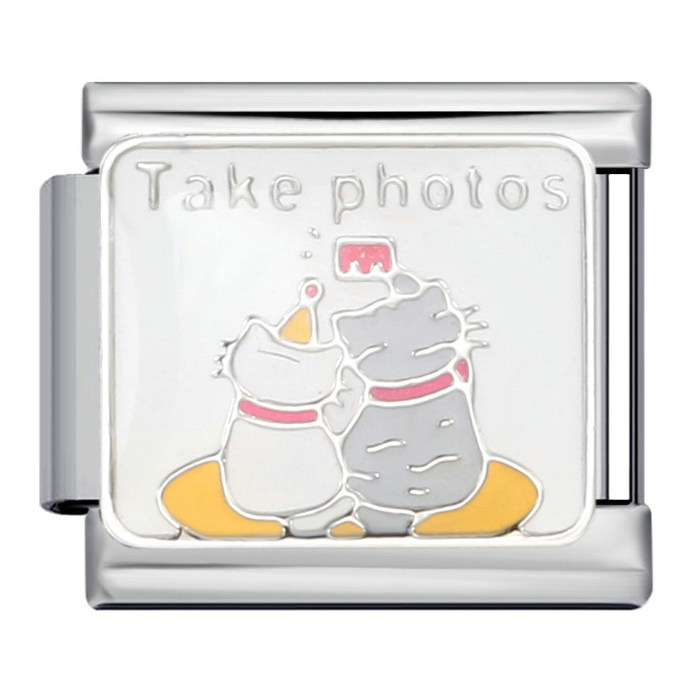 Cats Taking Photos