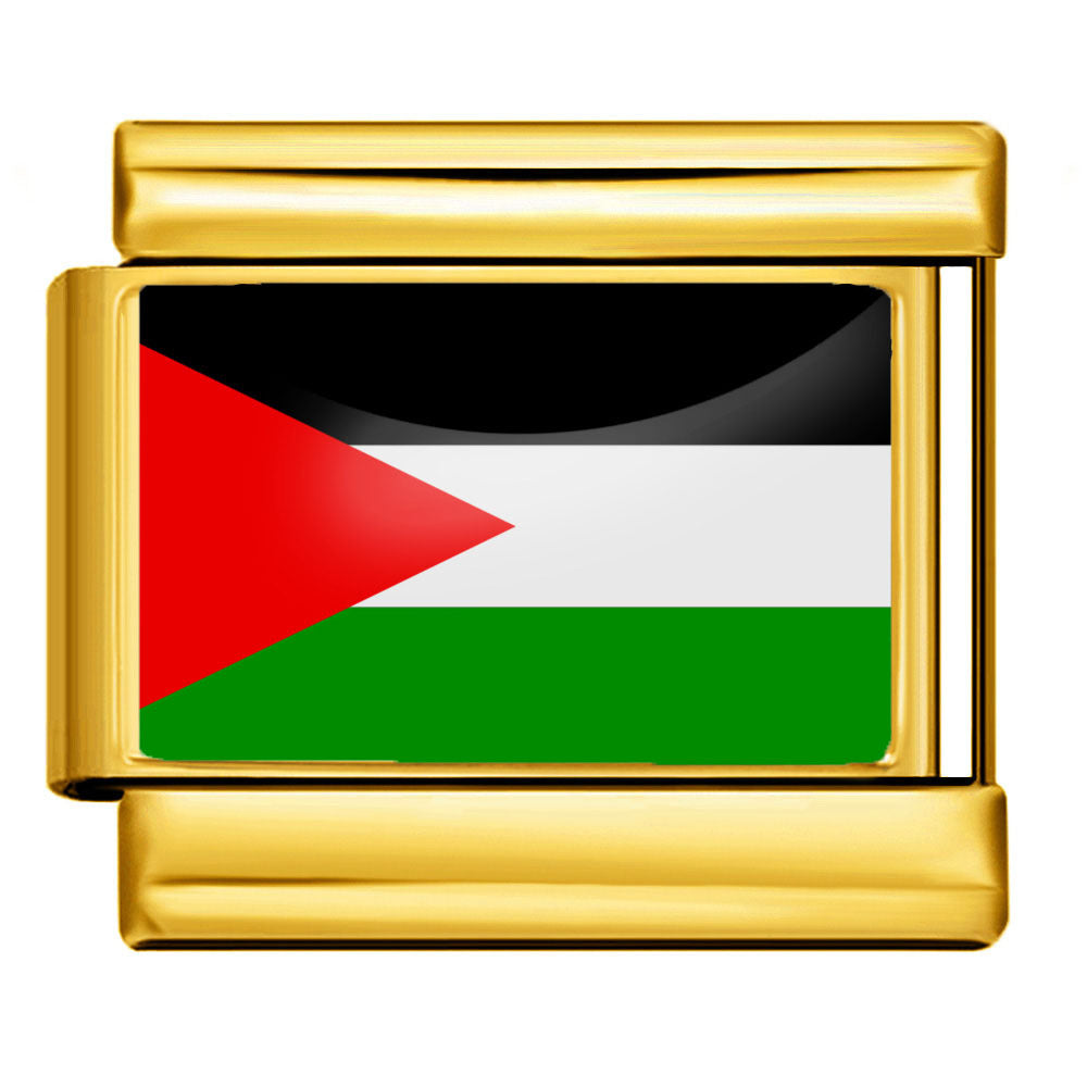 Palestine Flag