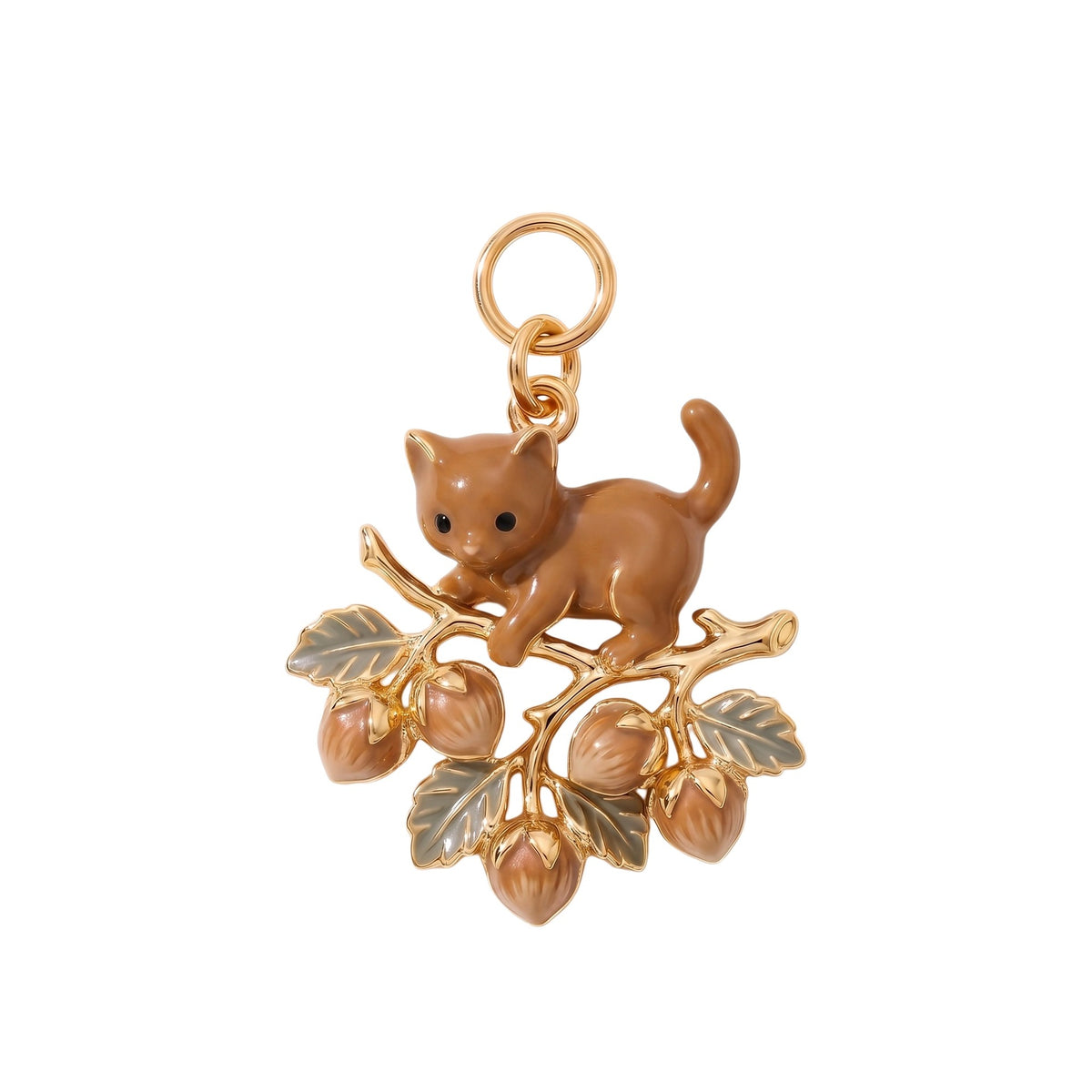 Cat on Acorn Branch