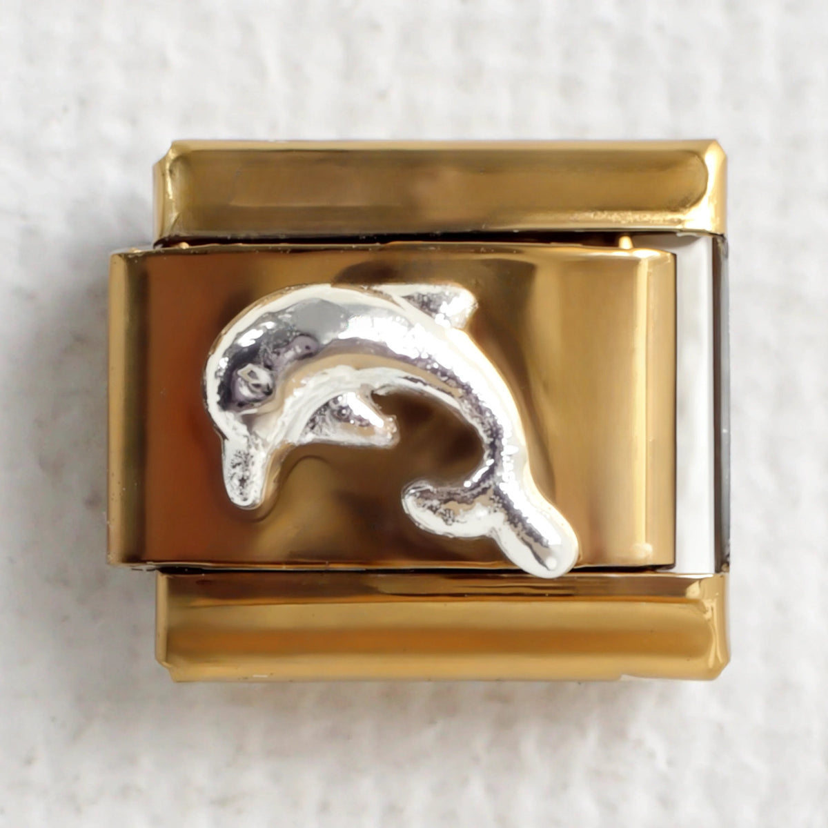 Dolphin