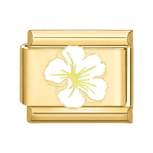 White Hibiscus