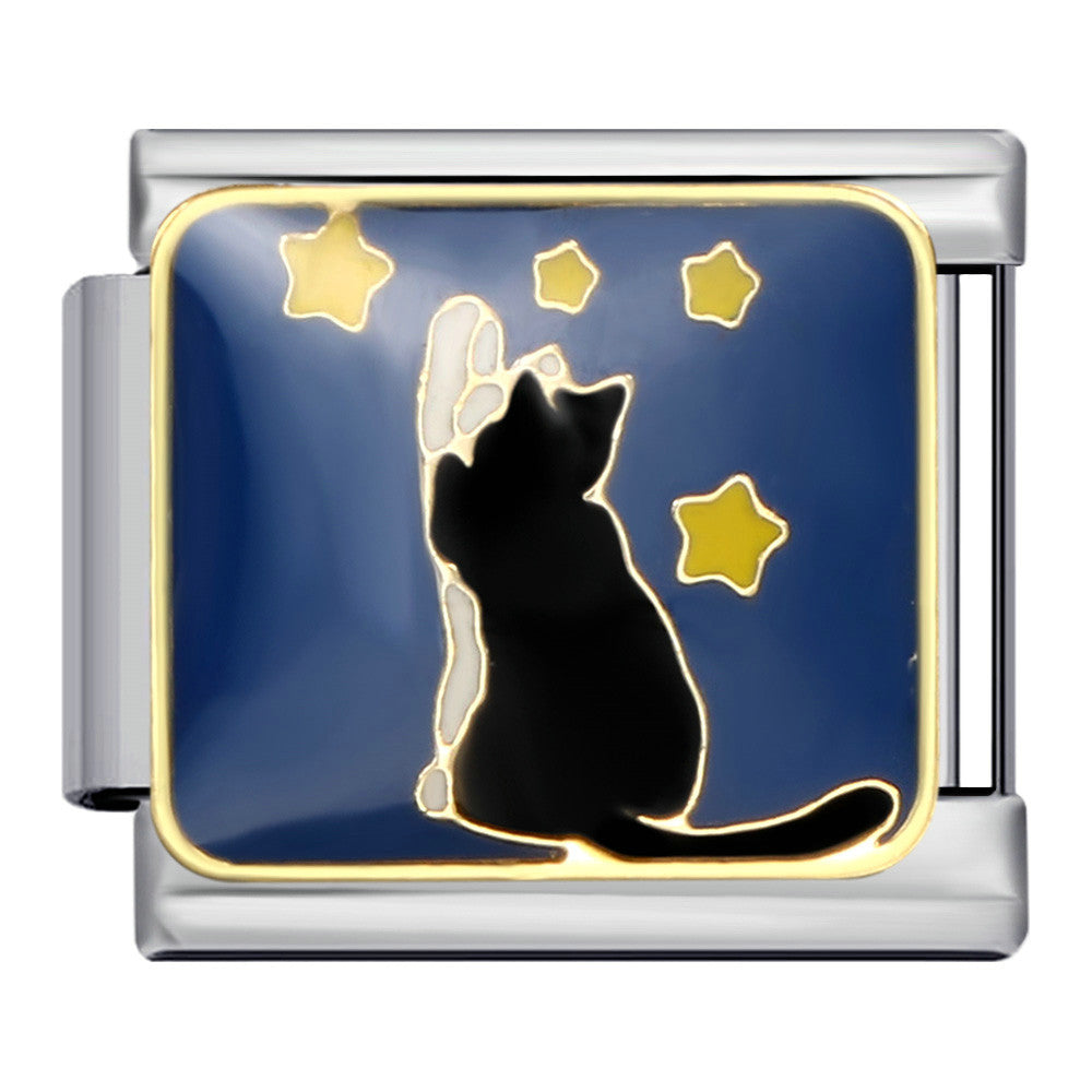 Black Cat and Stars