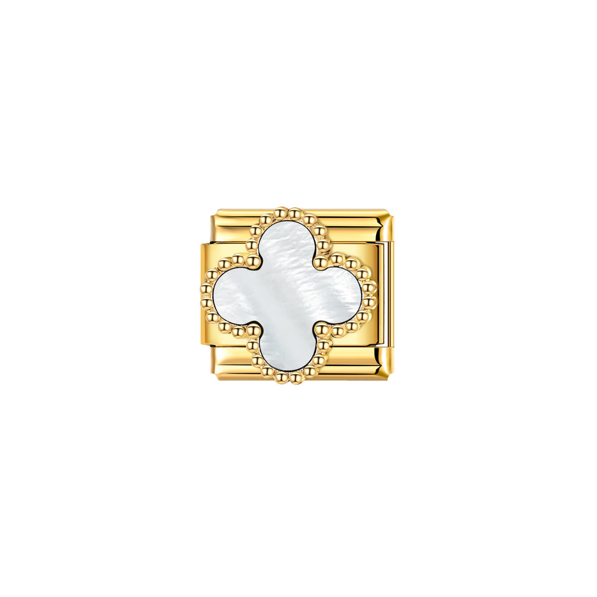 White Pearl Clover
