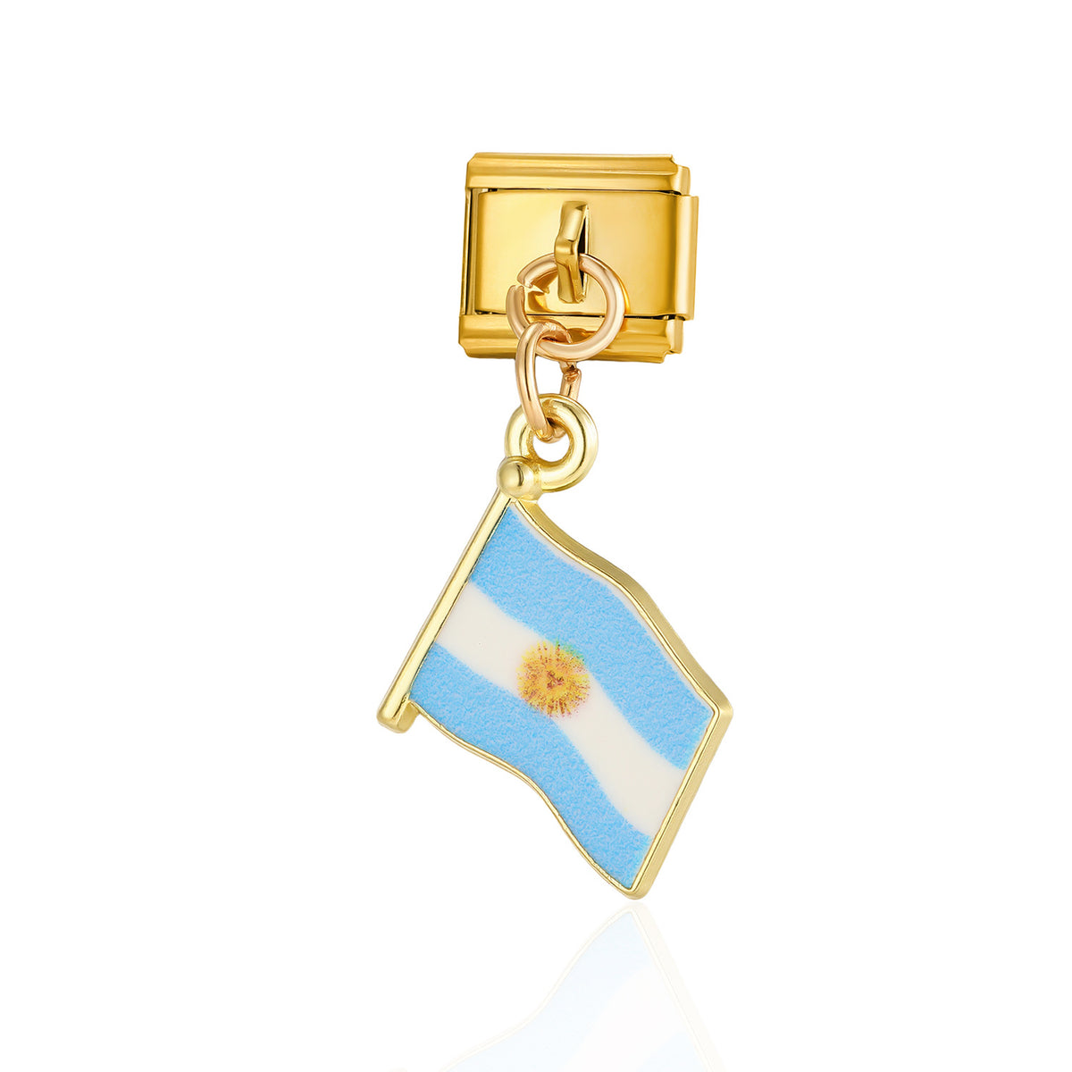 Argentina Flag